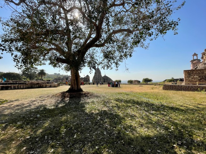 One photo, multiple stories – Jauhar&nbsp;Kund