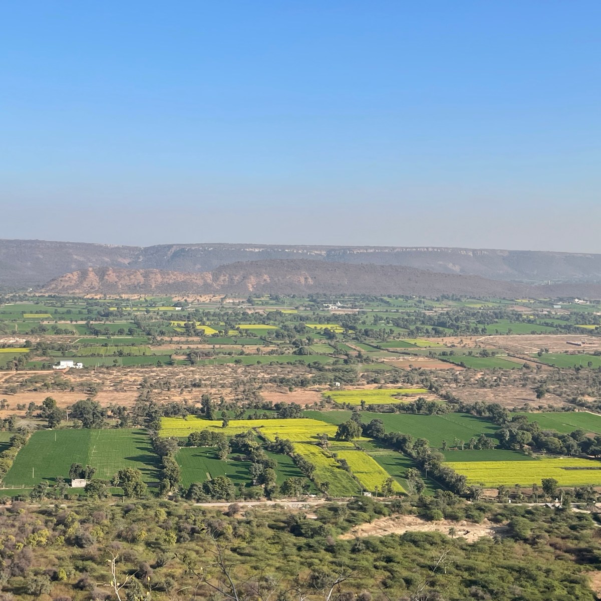 One photo, multiple stories – Battle&nbsp;ground