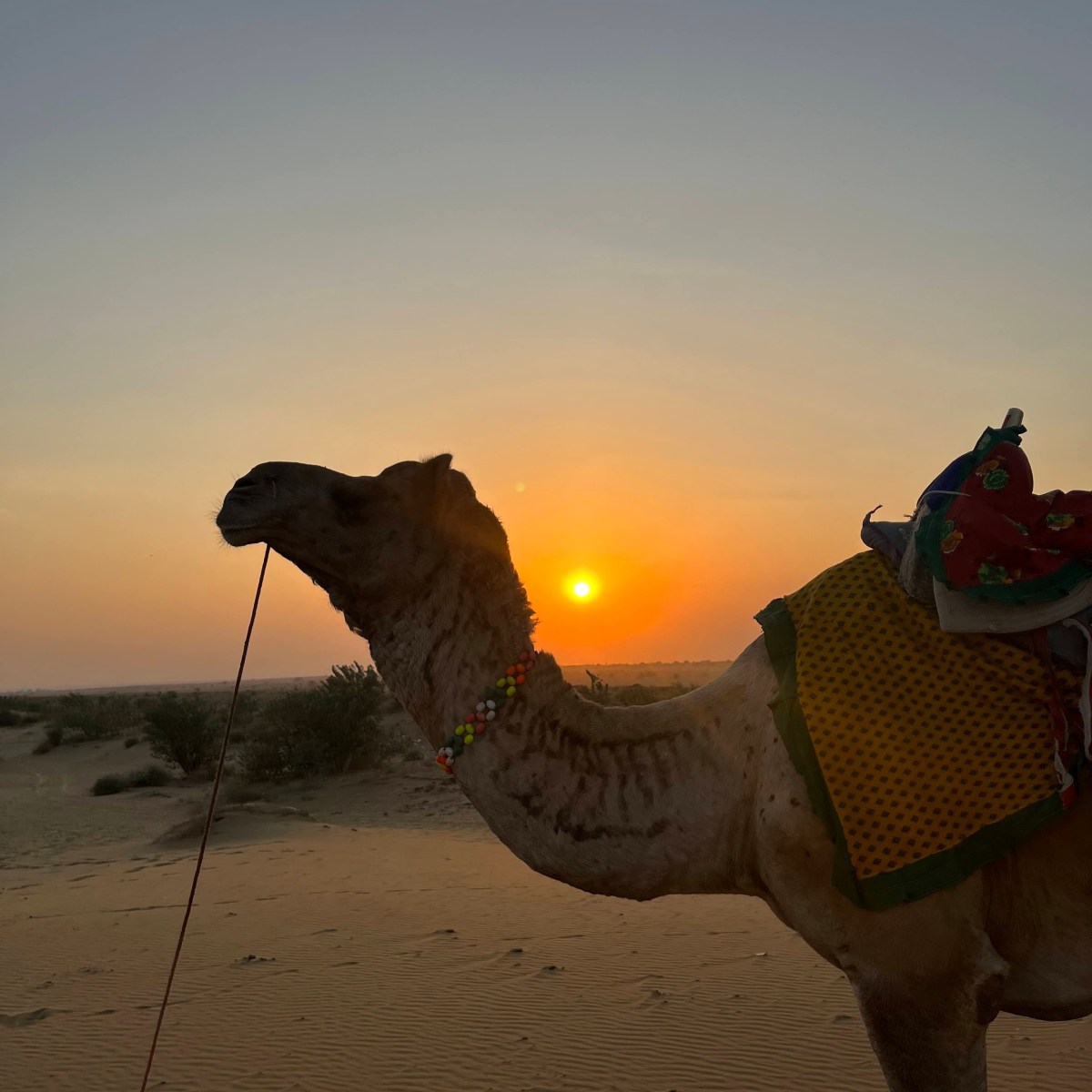 Rajasthan as seen by a South&nbsp;Indian