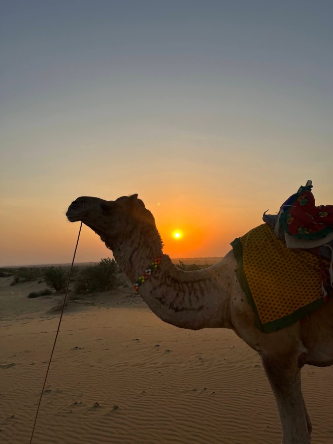 Rajasthan as seen by a South&nbsp;Indian