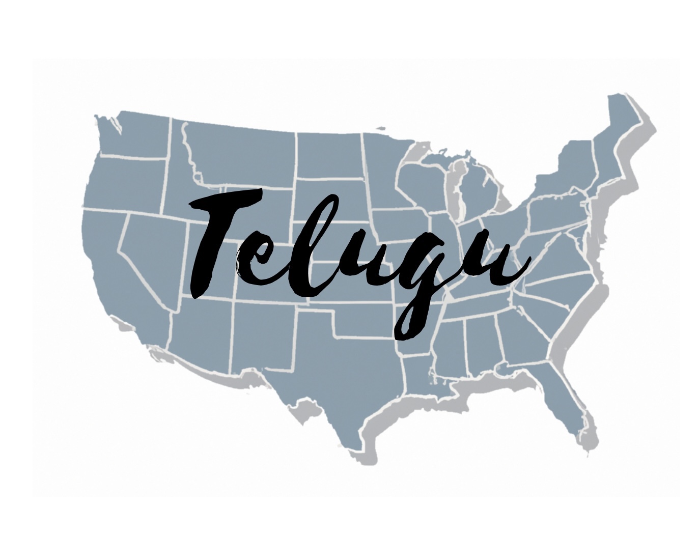 Fastest growing language in&nbsp;America