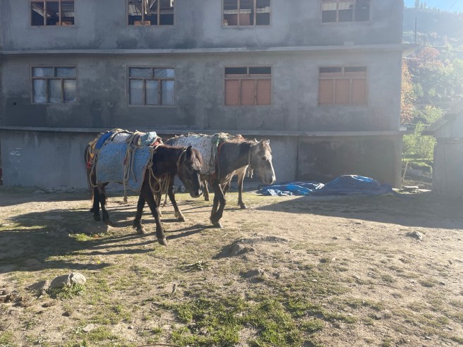 Silent Himalayan village