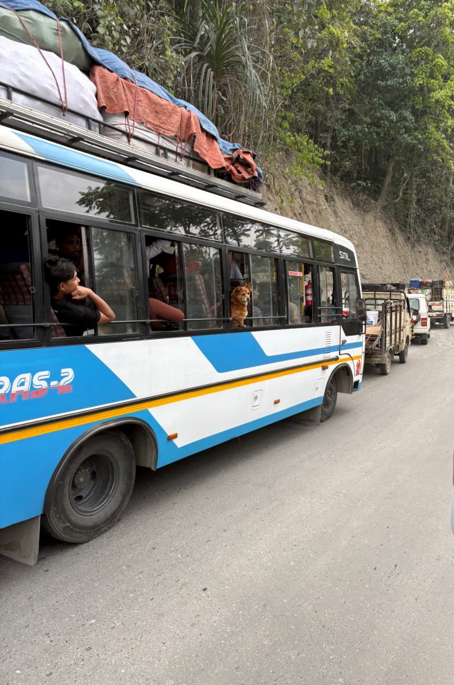 Tight seats, Traffic,&nbsp;Trauma